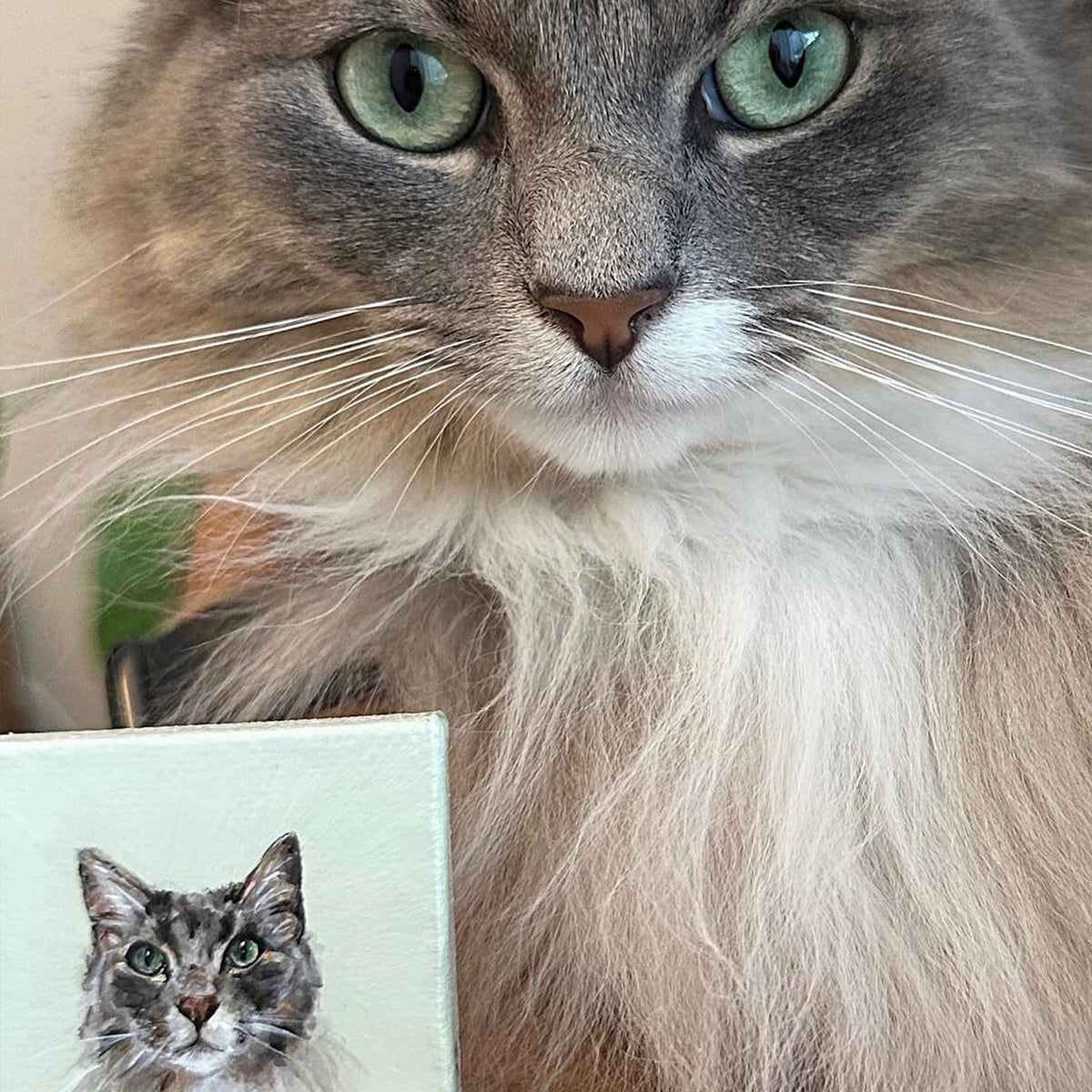 5x5 Mini Pet Portrait