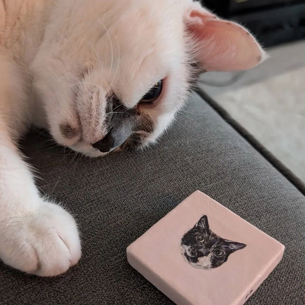 5x5 Mini Pet Portrait