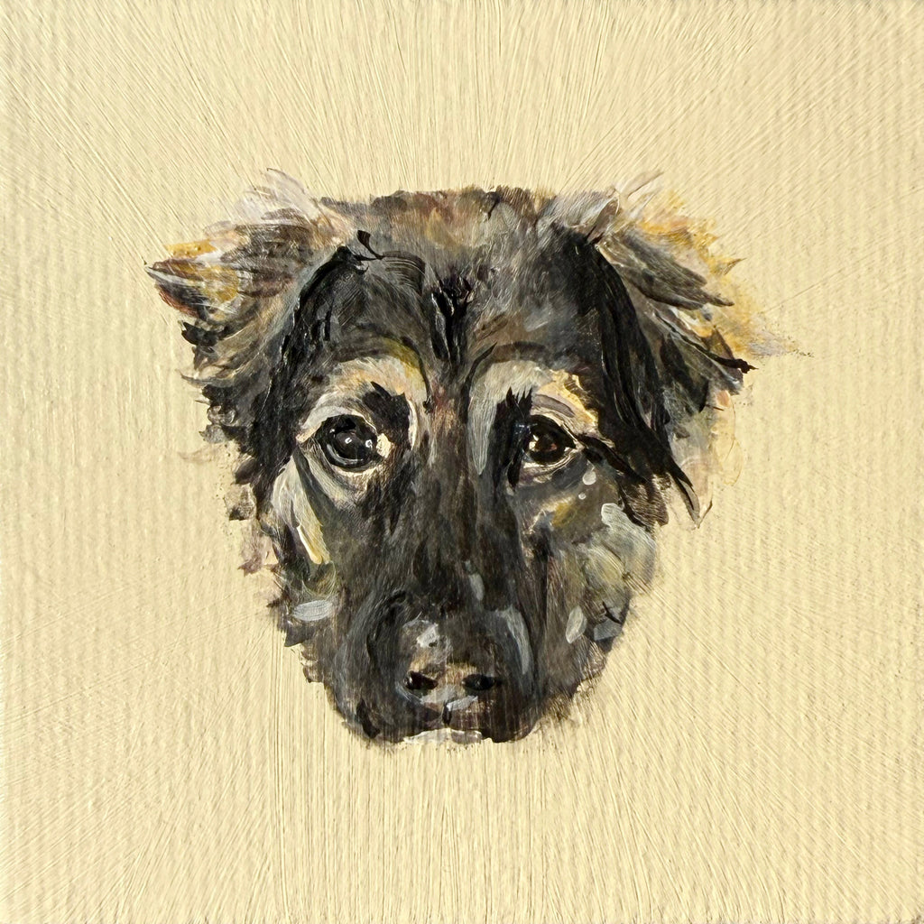 5x5 Mini Pet Portrait