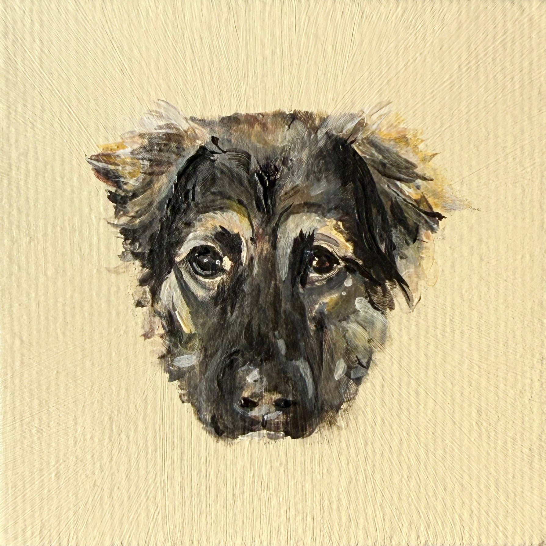 5x5 Mini Pet Portrait