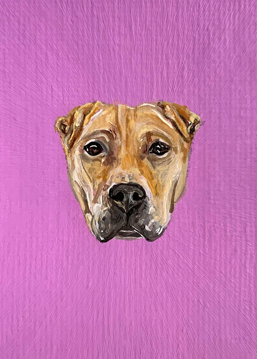 5x7 Mini Pet Portrait