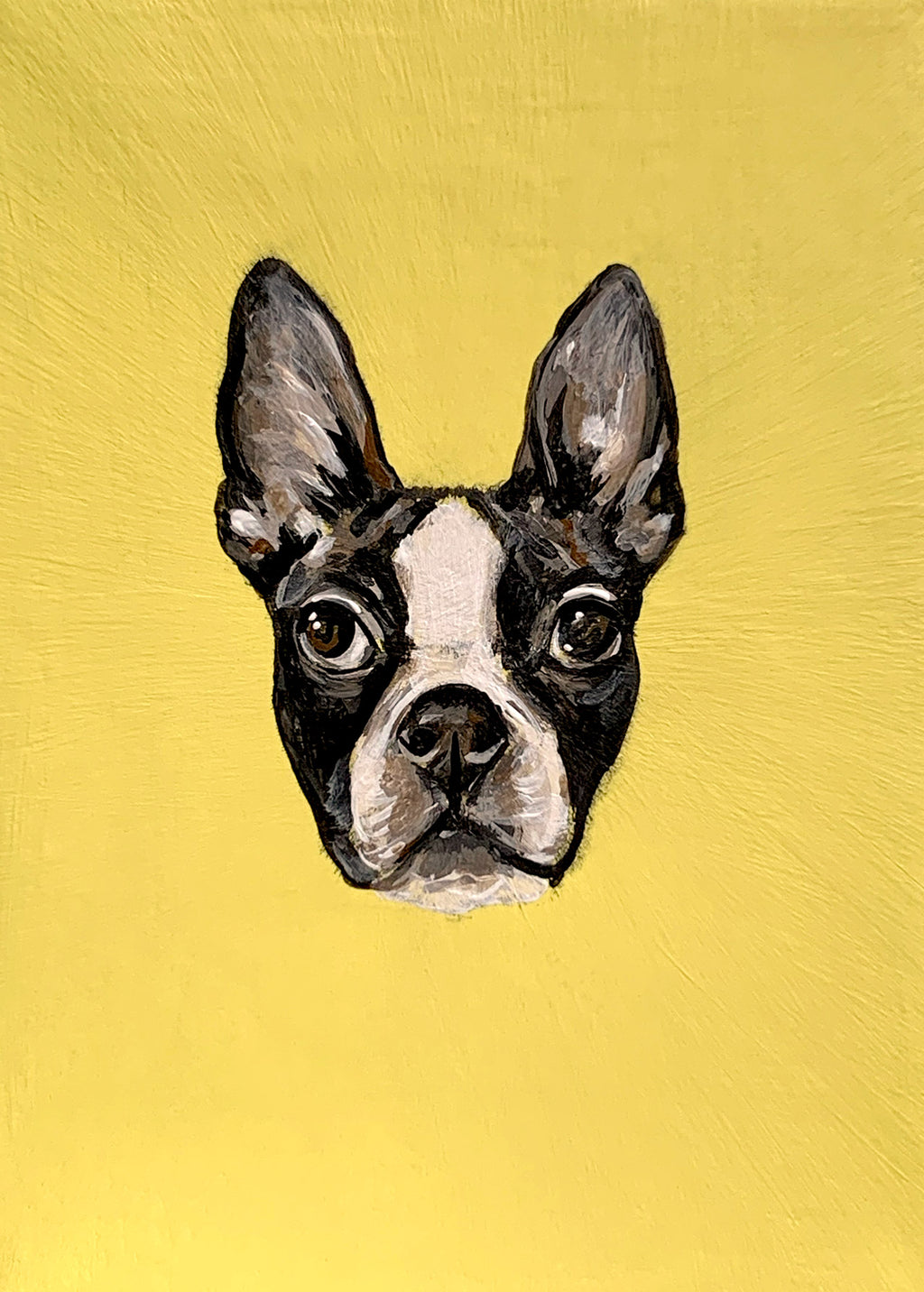5x7 Mini Pet Portrait