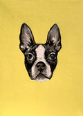 5x7 Mini Pet Portrait