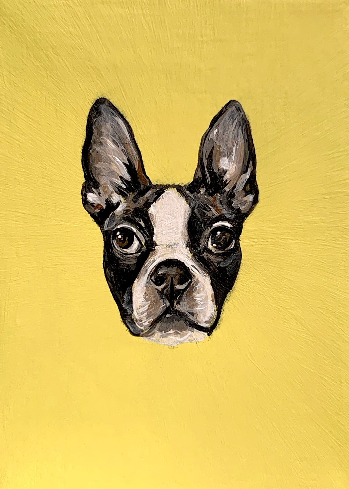 5x7 Mini Pet Portrait