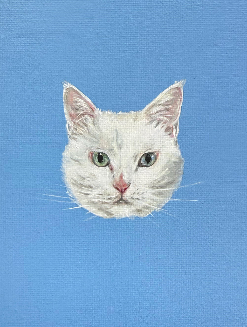 15x20 Pet Portrait