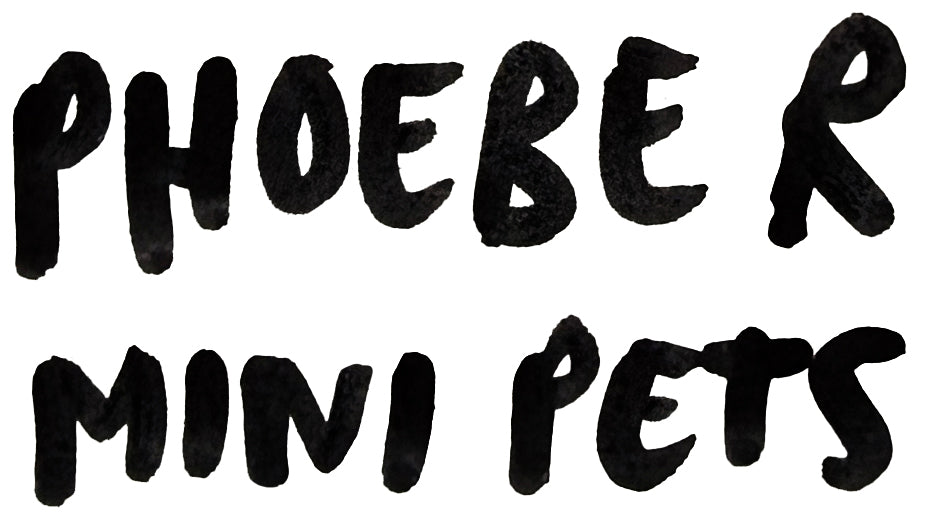 Phoebe's Pet Portraits